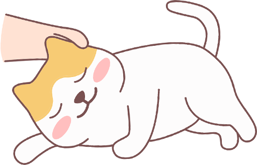 猫咪吃蛋黄的科学指南：益处、风险与正确喂食方法