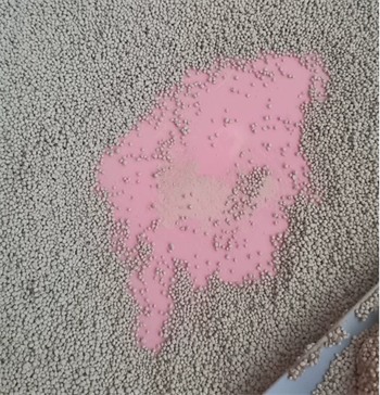 膨润土猫砂选购指南:脚感与除臭效果深度解析 膨润土猫砂选购指南:脚感与除臭效果深度解析