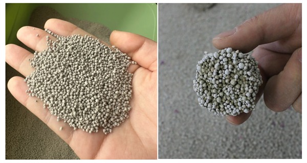 膨润土猫砂选购指南:脚感与除臭效果深度解析 膨润土猫砂选购指南:脚感与除臭效果深度解析