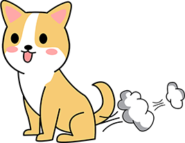 狗狗频繁放臭屁原因与调理方法，改善肠胃健康