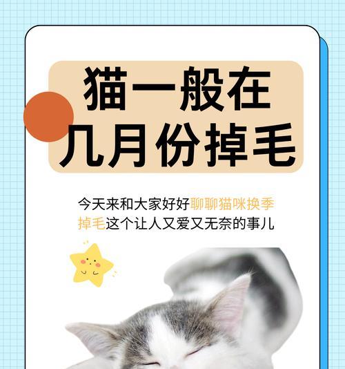 养猫对儿童成长的益处：培养责任心与情感交流的积极影响