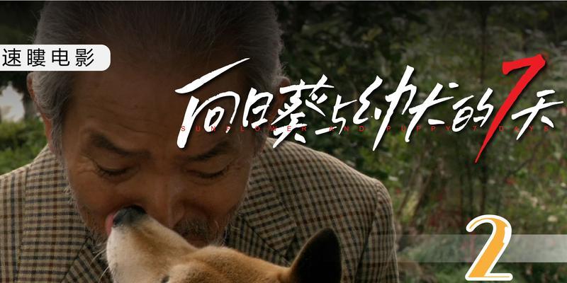 如何给予爱犬有尊严的安乐死离别方式与情感指南