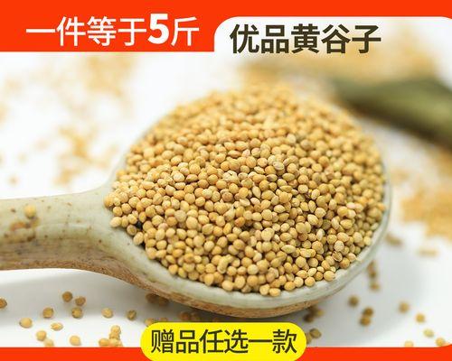 黄雀如何聪明取食苏子并展现生态智慧