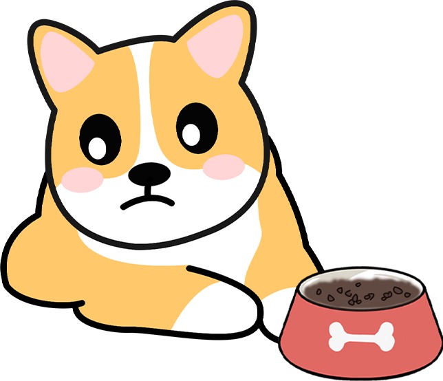 老年犬牙齿腐烂必须拔牙吗？危害评估与术后护理全指南