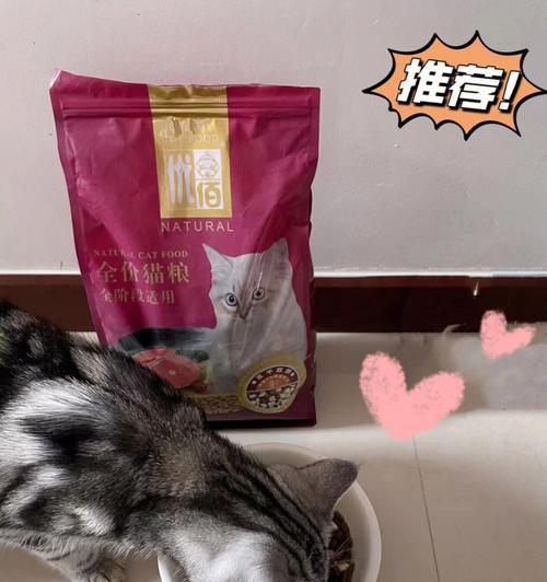 边牧毛发养护秘诀：科学饮食搭配日常护理全指南