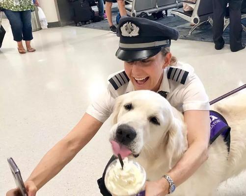 机场接宠全流程指南:手续准备与安全注意事项详解 机场接宠全流程指南:手续准备与安全注意事项详解