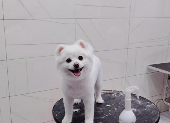 嘴唇下面长毛的原因解析与有效去除方法指南 嘴唇下面长毛的原因解析与有效去除方法指南