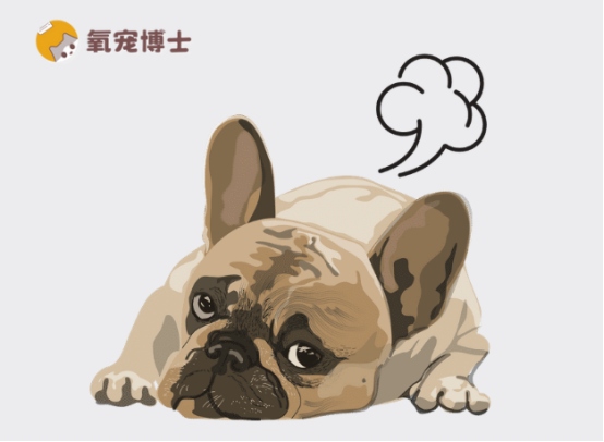 狗狗频繁放臭屁原因与调理方法，改善肠胃健康