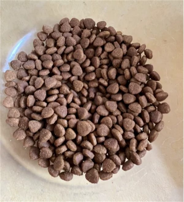 成年猫粮深度测评：原料解析、营养实测与性价比全揭秘