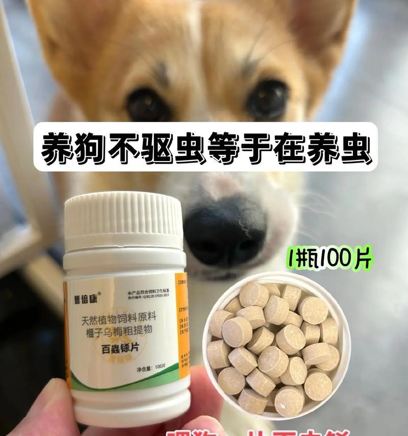 小狗驱虫指南：如何选择合适的药物与正确使用方法