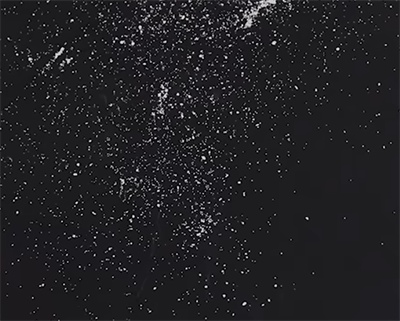 植物猫砂优缺点深度解析：结团媲美矿砂，除臭是短板