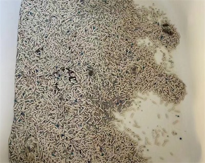 猫砂测评：高性价比选择，结团除臭表现如何？看这篇实测分析