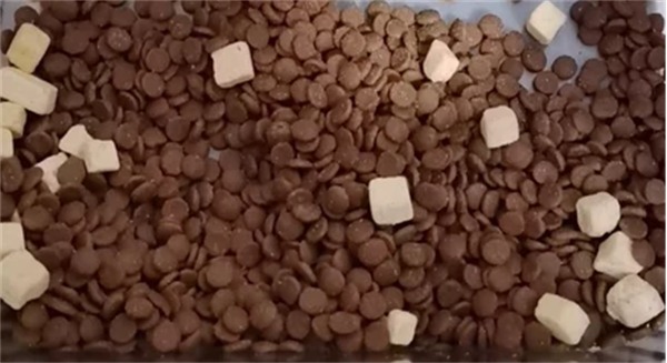 高蛋白鲜肉猫粮深度测评，肠胃敏感猫咪如何选择友好配方？