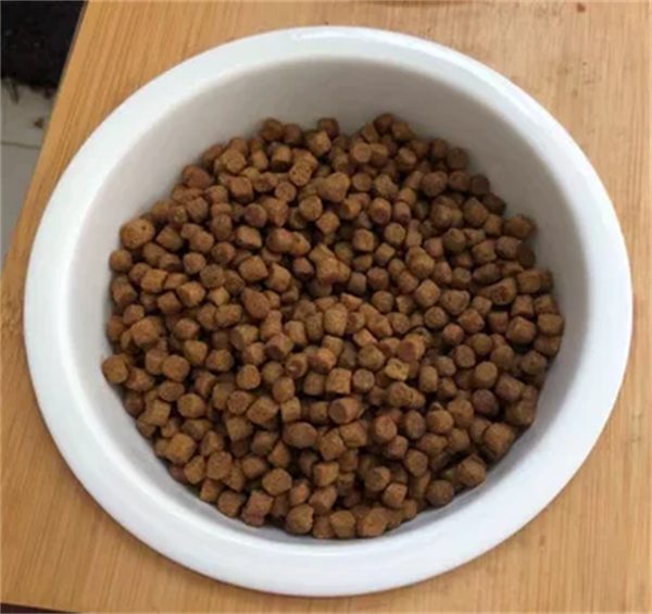 进口猫粮深度测评：成分安全适口性佳，是否值得选择？