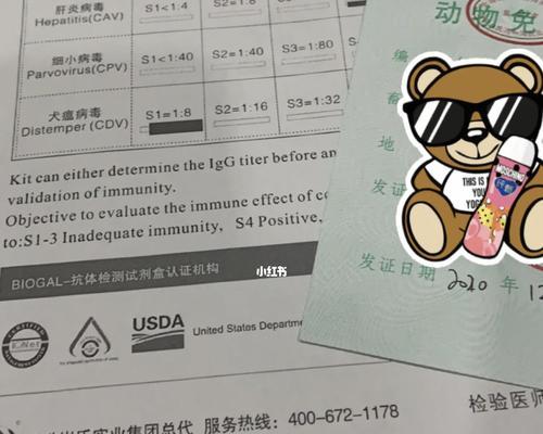 狗抗体检测指南：重要性、应用与如何选择可靠机构