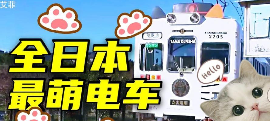 日本猫咪命名文化全解析：从寓意到个性的创意命名指南