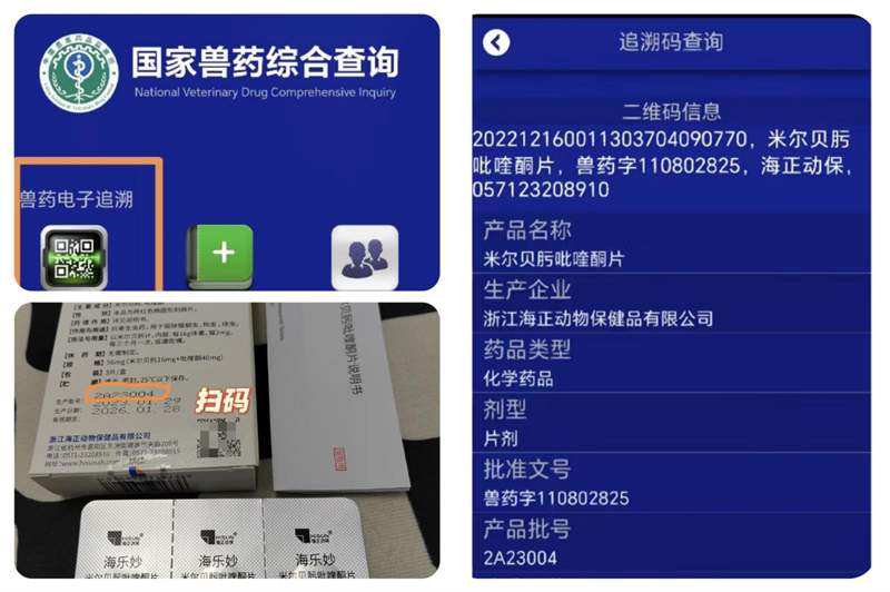 口服驱虫药全面测评：安全广谱效果如何？性价比深度分析
