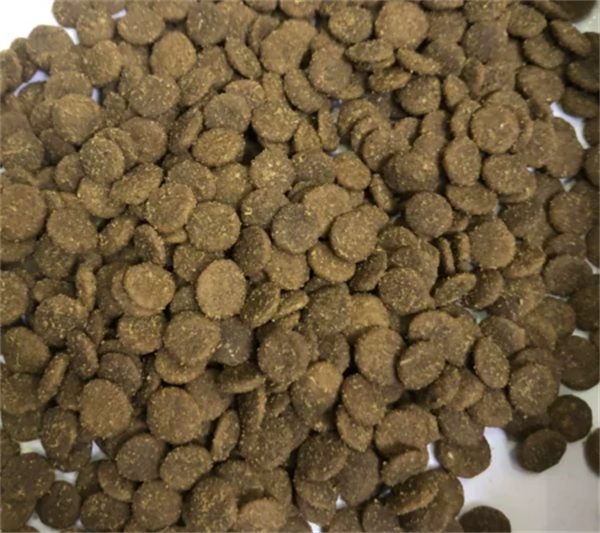 益生菌狗粮深度测评：成分解析与真实喂食体验分享