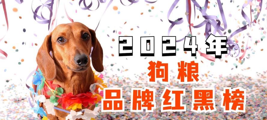 如何选择合适狗粮管理狗狗体重与健康 如何选择合适狗粮管理狗狗体重与健康