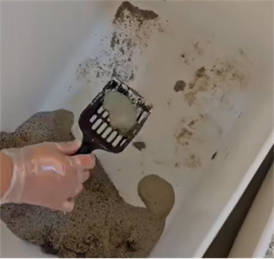 猫砂测评：高性价比选择，结团除臭表现如何？看这篇实测分析