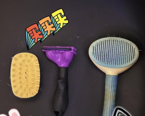 异国短毛猫梳子选购与梳理技巧全指南