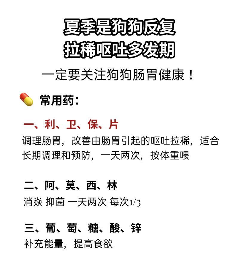 小狗频繁呕吐原因分析与应对处理方法指南 小狗频繁呕吐原因分析与应对处理方法指南