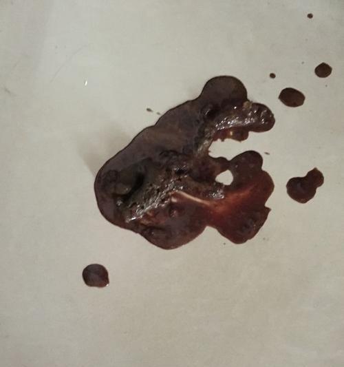 狗狗吐血原因解析与应对措施，守护爱宠健康