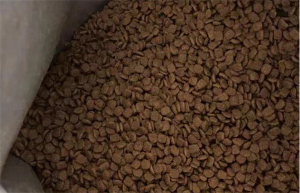 高蛋白猫粮深度测评：配方营养分析与性价比选购指南