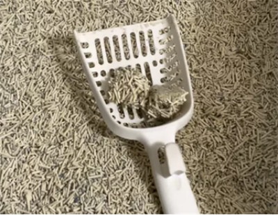 猫砂测评：高性价比选择，结团除臭表现如何？看这篇实测分析