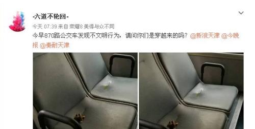 人体排泄机制解析：排便与排尿的相似点与区别详解