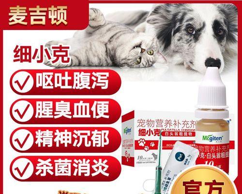 小狗呕吐拉肚子应对指南：正确用药与居家护理方法