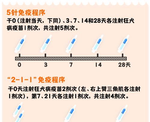 狗抗体检测指南：重要性、应用与如何选择可靠机构