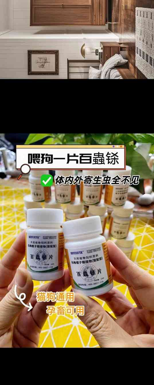 小狗驱虫指南：如何选择合适的药物与正确使用方法