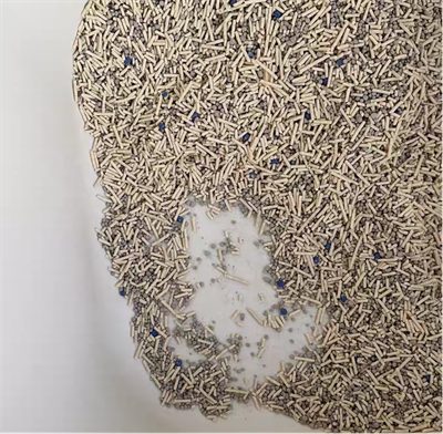 混合猫砂深度评测：除臭结团表现与品控性价比分析