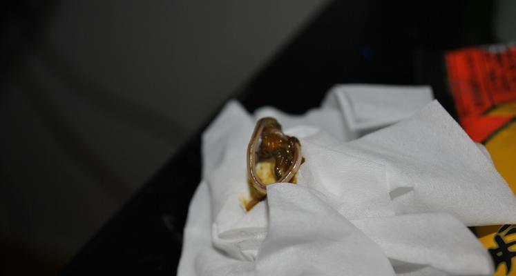 狗狗粪便中细长虫子应对指南：常见寄生虫类型与预防方法