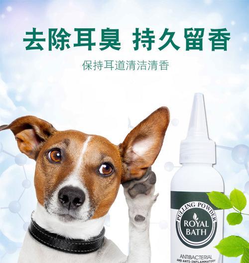 狗狗露齿行为解析：识别威胁警告与友好互动的关键区别