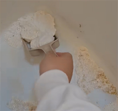 植物猫砂优缺点深度解析：结团媲美矿砂，除臭是短板