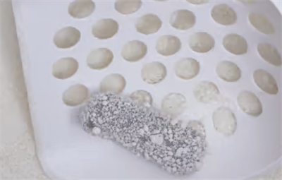 植物猫砂优缺点深度解析：结团媲美矿砂，除臭是短板