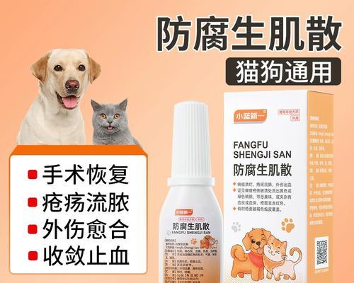 宠物狗伤口处理与药物治疗指南,助爱犬快速恢复健康 宠物狗伤口处理与药物治疗指南,助爱犬快速恢复健康