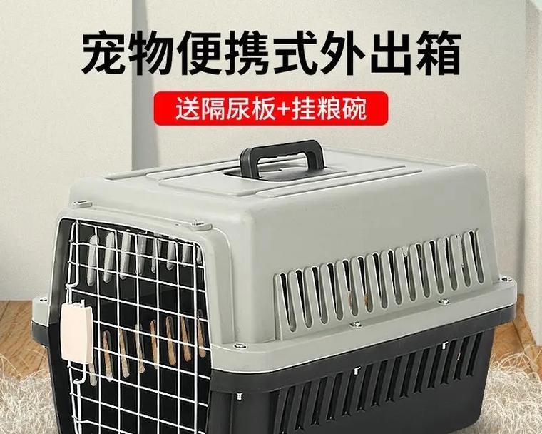 老血狗是什么意思？解读网络流行语的文化内涵与社交功能