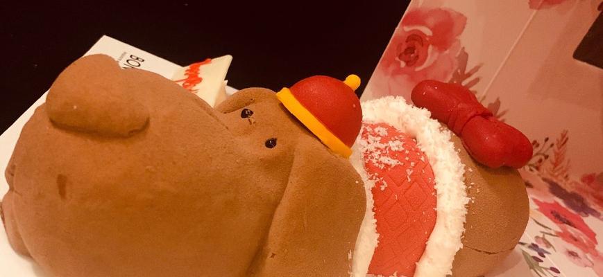 产后大狗恢复全攻略:饮食护理与健康管理核心要点 产后大狗恢复全攻略:饮食护理与健康管理核心要点