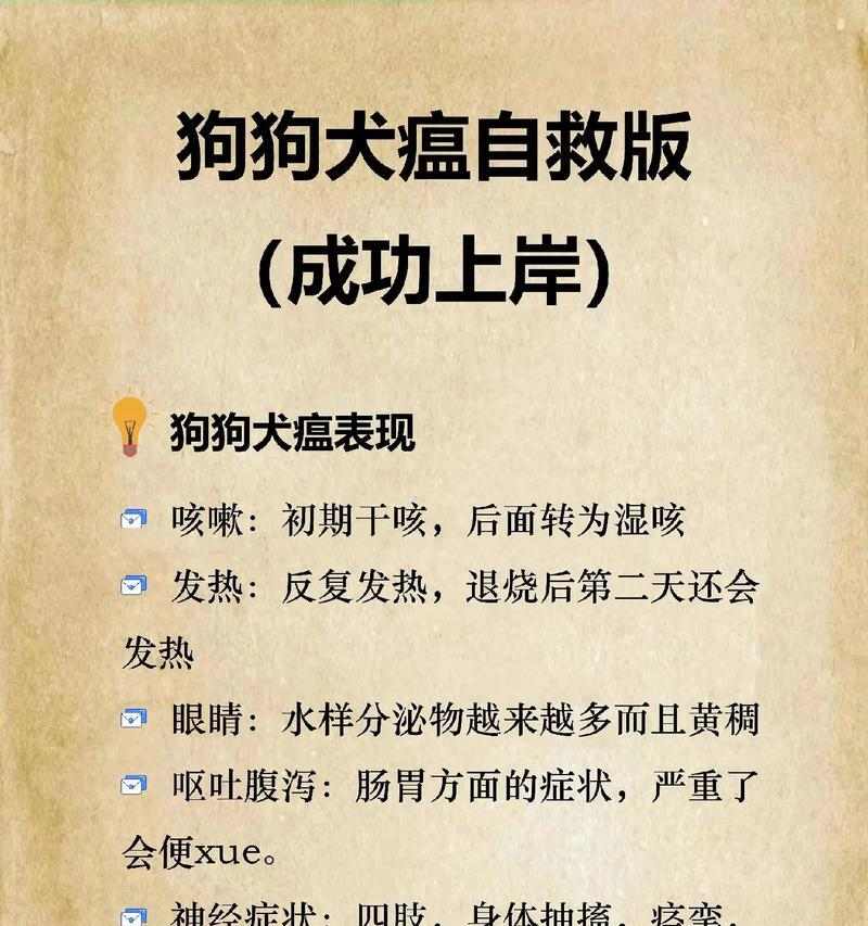 犬瘟症状识别与预防全攻略，守护爱犬健康的关键措施