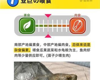 亚洲巨龟野外食谱揭秘：杂食策略与生态适应全解析