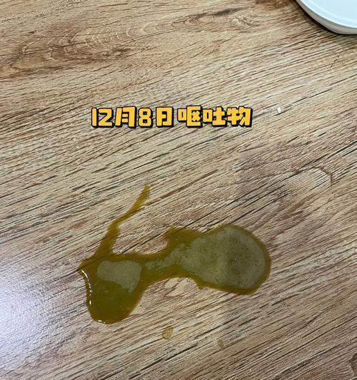 猫咪呕吐常见原因全解析，科学应对守护爱宠健康