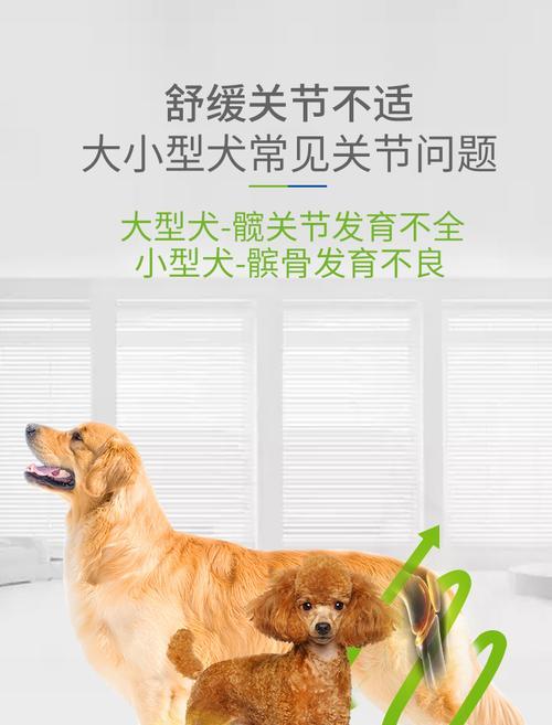 德牧幼犬科学补钙指南：促进骨骼健康发育的喂养要点