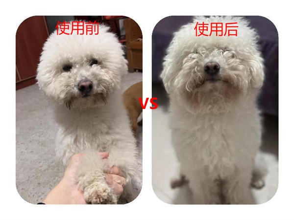 宠物沐浴露选购全攻略与专业测评,助你挑选安全有效产品 宠物沐浴露选购全攻略与专业测评,助你挑选安全有效产品