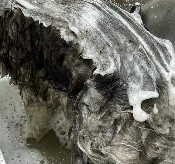 狗狗沐浴露成分与清洁力深度测评:安全争议与实际效果分析 狗狗沐浴露成分与清洁力深度测评:安全争议与实际效果分析