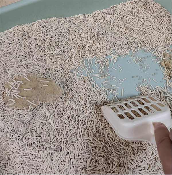 混合猫砂深度测评：除臭结团与粉尘粘底性能全面解析