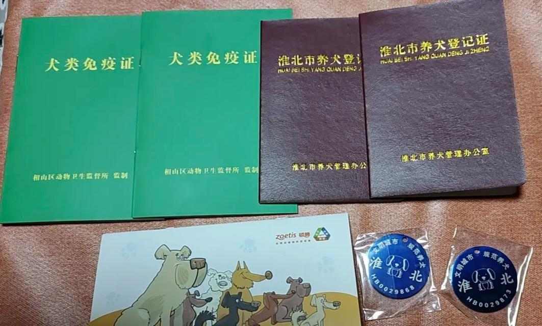 新手养狗必备证件清单与注意事项,购犬养犬全指南 新手养狗必备证件清单与注意事项,购犬养犬全指南
