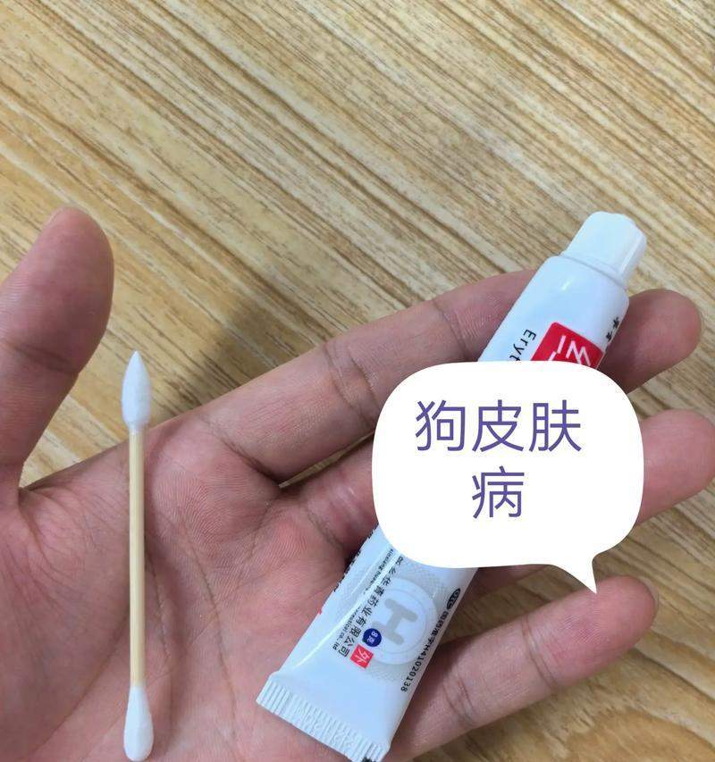 泰迪皮肤病治疗全攻略：有效方法与药物选用指南